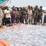 الحملة الأمنية المشتركة تضبط كمية كبيرة من المخدرات في ساحل رأس العارة
