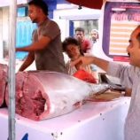 السلطة المحلية في خورمكسر توزع على أسواق الأسماك والخضار بنرات رسمية لتعريف المواطنين بالأسعار