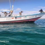 قارب “الماجد 12” في قبضة قوات خفر السواحل