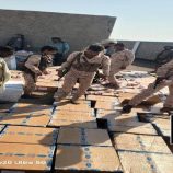 الحملة الأمنية بالصبيحة تحبط تهريب مليون وثمانين ألف حبة مخدرة