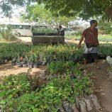 مشروع توزيع 15 الف شتلة للمزارعين والنحالين بكرش وتبن