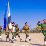 اللواء الأول دفاع شبوة يقيم عرضاً عسكرياً مهيباً احتفاءً بثورة 14 أكتوبر وإحياءً لذكرى استشهاد السليماني