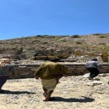 مدير عام الصناعة بلحج يقف على اكبر مشروع استثماري في لبعوس