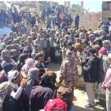 صلح قبلي مهيب ينهي قضيتا قتل في مديرية الشعيب #الضالع