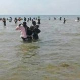 قارب تهريب ينزل 255 مهاجرًا غير شرعي إلى ساحل شبوة