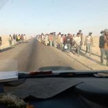 وصول أعداد كبيرة من المهاجرين غير الشرعيين إلى سواحل شبوة