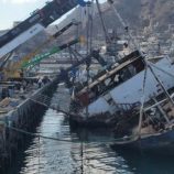 انتشال أضخم السفن الغارقة في ميناء الإصطياد بعدن تمهيدا لخطوات إعادة تشغيل الميناء