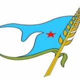 الهيئة القيادة للاشتراكي في الجنوب تصدر بيانا سياسيا هاما