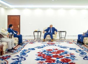 تفعيل عمل الوزارات والمؤسسات الحكومية