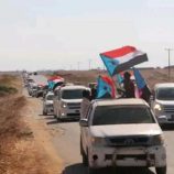 توافد مواكب أبناء المهرة للمشاركة في فعالية عيد الاستقلال