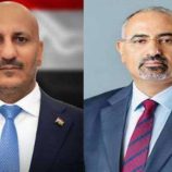 الرئيس الزُبيدي يتلقى اتصالًا هاتفيًا من الفريق طارق صالح