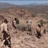 مواجهات عنيفة في جبهة حمالة كرش بلحج وتعزيزات حوثية غير مسبوقة تقابل برد حازم لقواتنا المسلحة الجنوبية