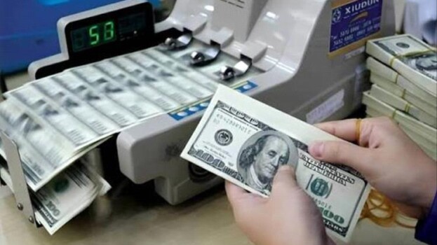 مطالبات للبنك المركزي بالشفافية عقب تقييد شركات الصرافة لعمليات الصرف