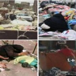 صنعاء: تموت الناس من الجوع