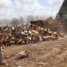 فيما تم اليوم إتلاف ( 8 ) أطنان من المواد غير الصالحة للاستهلاك.. صحة البيئة بالمنصورة يواصل ضبط كميات من المواد الغذائية منتهية الصلاحية