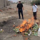 صحة البيئة بالمنصورة تتلف أكثر من “200” باكت من شمة الحوت المحضور