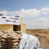 صور من المخطط السكني لشهداء اللواء الأول عمالقة