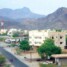 مقتل شخصين وإعدام الجاني ميدانياً في حادثة دامية هزّت مديرية مودية
