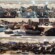 من التحديات إلى الحلول: العاصمة عدن تحتضن المؤتمر الثالث للموارد البشرية لرسم مستقبل الكفاءات المؤسسية