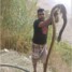 العثور على أفعى ضخمة في احد وديان الضالع ودعوات لأخذ الحيطة والحذر