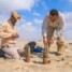 إتلاف أكثر من 1300 قطعة من المخلفات الحربية في حضرموت