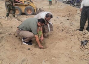 “الداؤودي” يدشن تشجير الطريق العام لمديرية البريقة