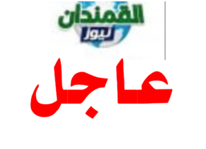 طائرة مسيّرة تستهدف مواقع لقوات درع الوطن في العند بلحج