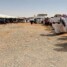 قبائل كندة تعلن النكف ضد قوات الطوارئ بعد اقتحام منزل الشيخ بن هفتان