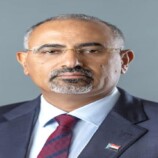 قراءة في خطاب الرئيس الزُبيدي بذكرى عيد الجيش الجنوبي