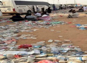 صورة صادمة من منفذ الوديعة البري