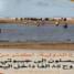 وصول أكثر من 2000 يمني إلى السواحل الشمالية لجيبوتي