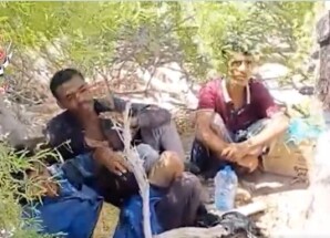 قوات العمالقة الجنوبية تأسر عدداً من عناصر المليشيات الحوثية في معارك باب المندب
